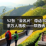 52张“金名片”带动30余万人增收——陕西省渭南市劳务品牌建设观察(图4) 52张“金名片”带动30余万人增收——陕西省渭南市劳务品牌建设观察(图4)