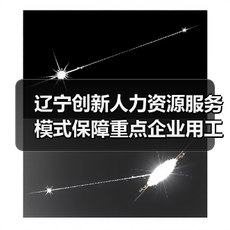 辽宁创新人力资源服务模式保障重点企业用工需求(图4) 辽宁创新人力资源服务模式保障重点企业用工需求(图4)