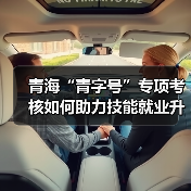 青海“青字号”专项考核如何助力技能就业升级?(图4) 青海“青字号”专项考核如何助力技能就业升级?(图4)