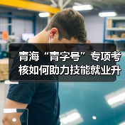 青海“青字号”专项考核如何助力技能就业升级?(图1) 青海“青字号”专项考核如何助力技能就业升级?(图1)