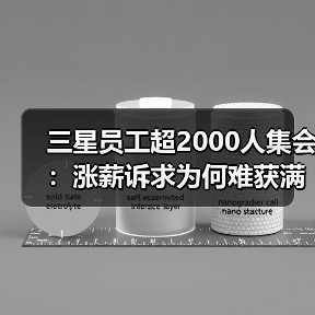 三星员工超2000人集会:涨薪诉求为何难获满足?(图2) 三星员工超2000人集会:涨薪诉求为何难获满足?(图2)