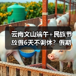 云南文山端午+民族节放假6天不调休?假期怎么安排?(图3) 云南文山端午+民族节放假6天不调休?假期怎么安排?(图3)