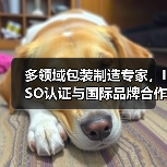 多领域包装制造专家,ISO认证与国际品牌合作实力解析(图1) 多领域包装制造专家,ISO认证与国际品牌合作实力解析(图1)