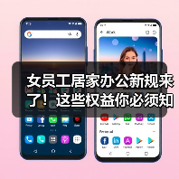 女员工居家办公新规来了!这些权益你必须知道(图2) 女员工居家办公新规来了!这些权益你必须知道(图2)