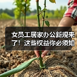 女员工居家办公新规来了!这些权益你必须知道(图3) 女员工居家办公新规来了!这些权益你必须知道(图3)