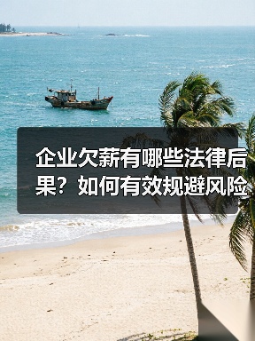 企业欠薪有哪些法律后果?如何有效规避风险?(图3) 企业欠薪有哪些法律后果?如何有效规避风险?(图3)