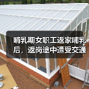哺乳期女职工返家哺乳后，返岗途中遭受交通事故，是否应当认定工伤？（图1）