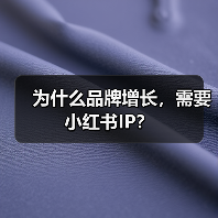 为什么品牌增长,需要小红书IP?(图1) 为什么品牌增长,需要小红书IP?(图1)