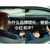 为什么品牌增长,需要小红书IP?(图2) 为什么品牌增长,需要小红书IP?(图2)