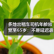 多地出租车司机年龄放宽至65岁:不是延迟退休是退休反聘(图3) 多地出租车司机年龄放宽至65岁:不是延迟退休是退休反聘(图3)
