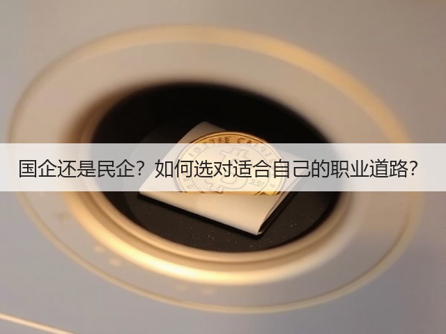 国企还是民企?如何选对适合自己的职业道路?(图3) 国企还是民企?如何选对适合自己的职业道路?(图3)