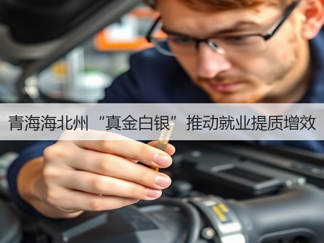 青海海北州“真金白银”推动就业提质增效(图3) 青海海北州“真金白银”推动就业提质增效(图3)