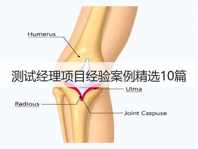 测试经理项目经验案例精选10篇(图3) 测试经理项目经验案例精选10篇(图3)