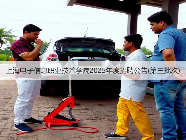 上海电子信息职业技术学院2025年度招聘公告(第三批次)(图2) 上海电子信息职业技术学院2025年度招聘公告(第三批次)(图2)